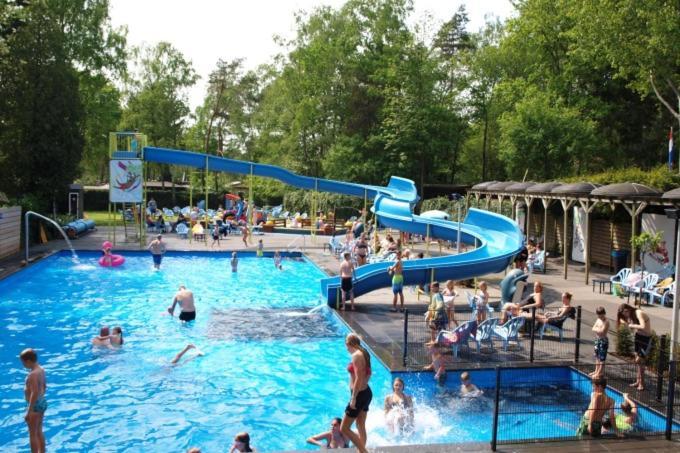 Campsite Bosrijk Midden In De Natuur-eten&drinken-activiteiten-ontspanning-en Nog Veel *